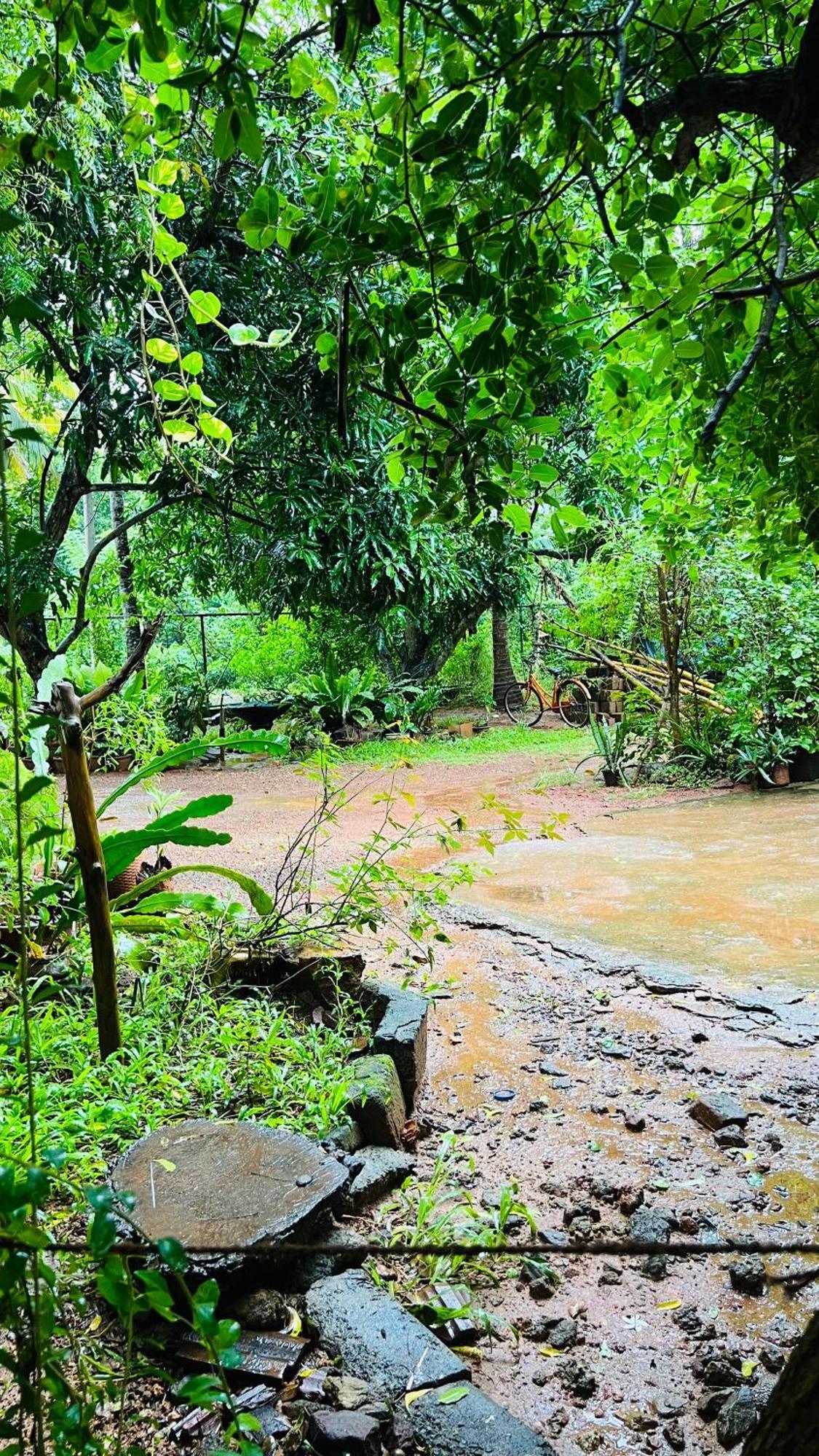 Kataragama Homestay ภายนอก รูปภาพ