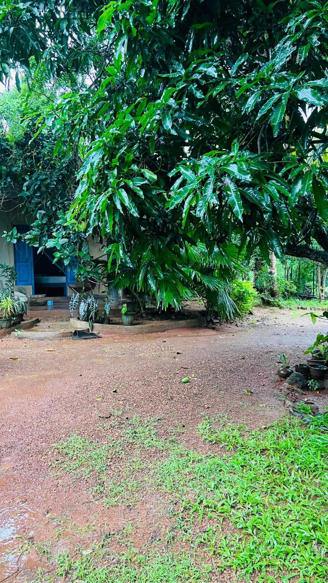 Kataragama Homestay ภายนอก รูปภาพ