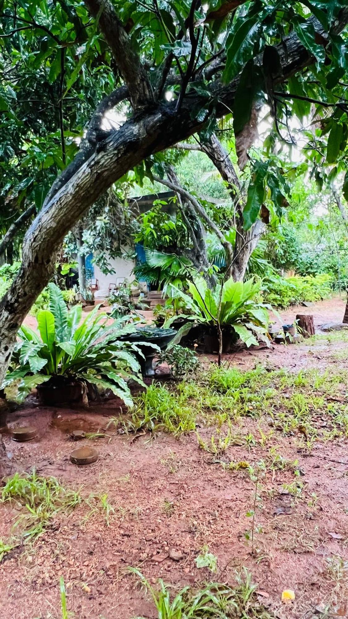 Kataragama Homestay ภายนอก รูปภาพ