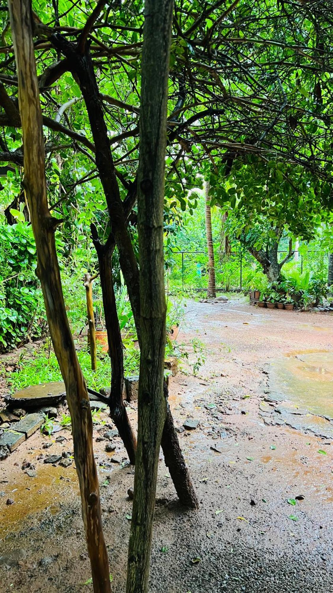 Kataragama Homestay ภายนอก รูปภาพ