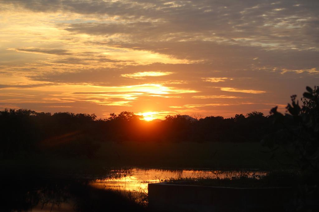 Kataragama Homestay ภายนอก รูปภาพ